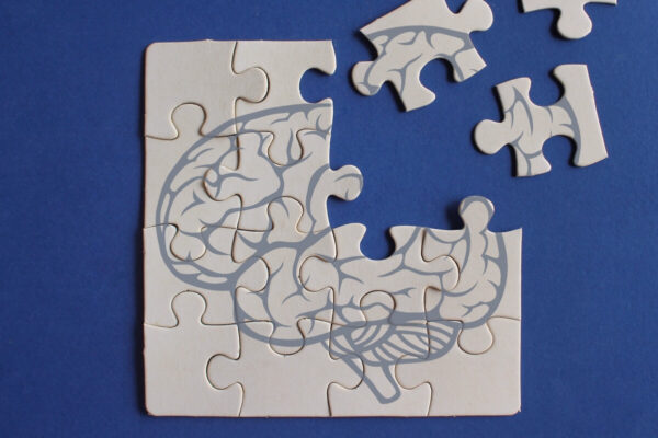 Puzzle z rysunkiem mózgu symbolizują zapobieganie demencji.