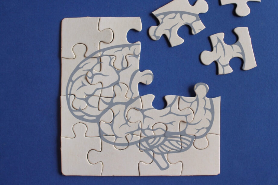 Puzzle z rysunkiem mózgu symbolizują zapobieganie demencji.
